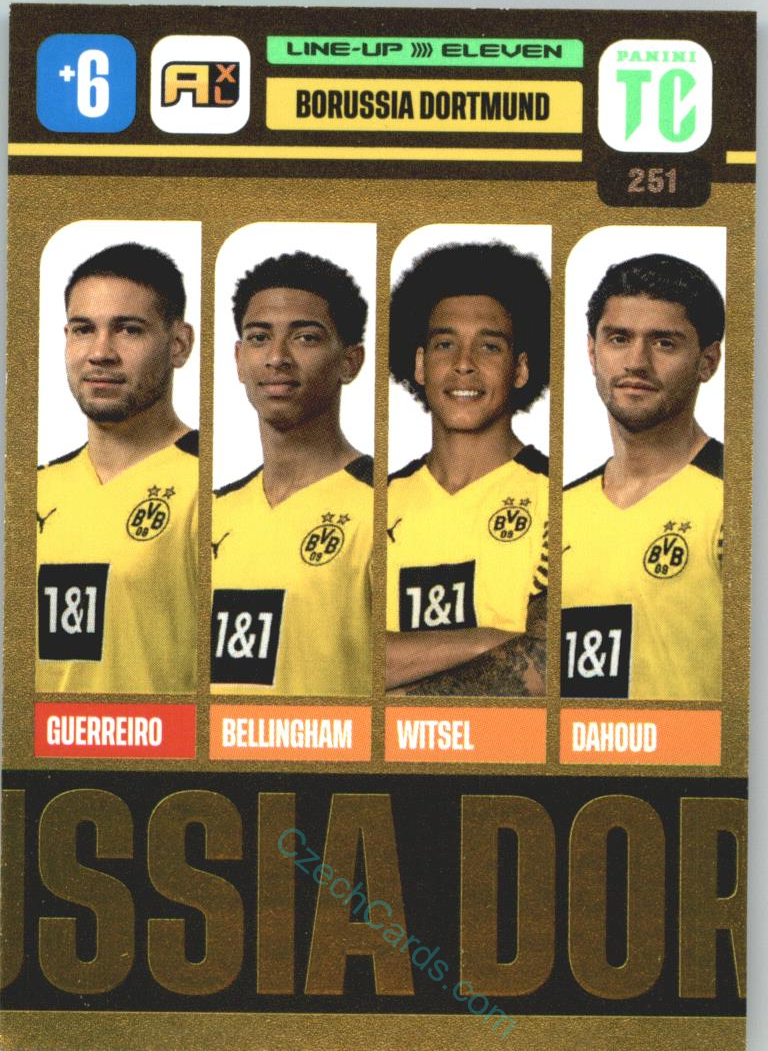 Borussia Dortmund 2021-22 Top Class Eleven #251