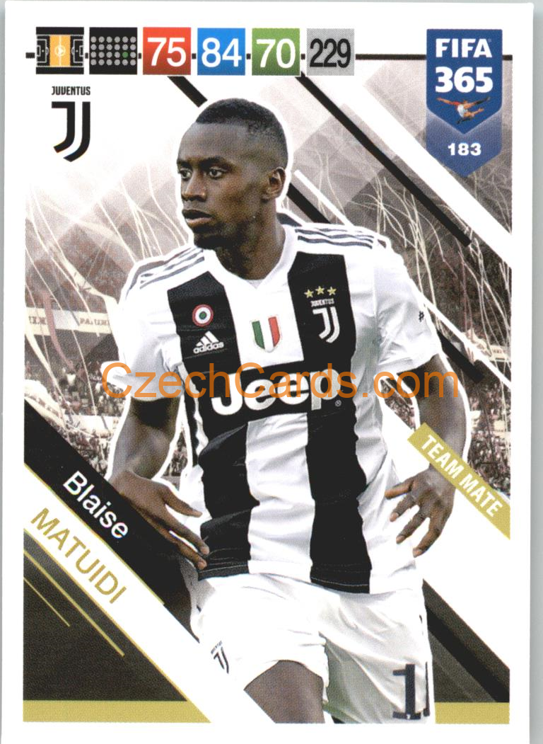 Blaise Matuidi 2019 Panini FIFA 365 #183