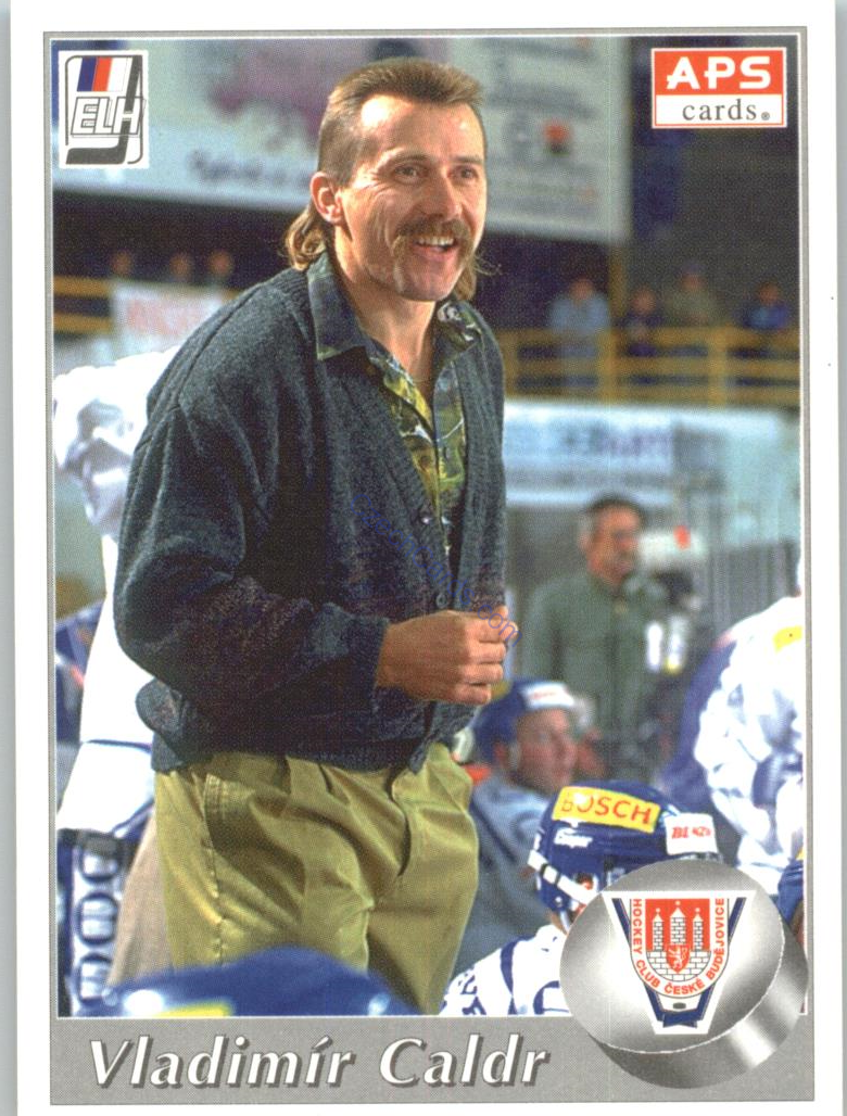 Vladimír Caldr APS 95/96 #51