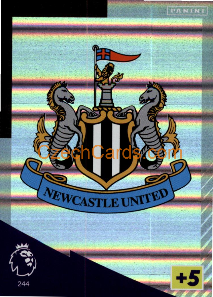 Club Badge 2021/22 Panini Adrenalyn EPL #244