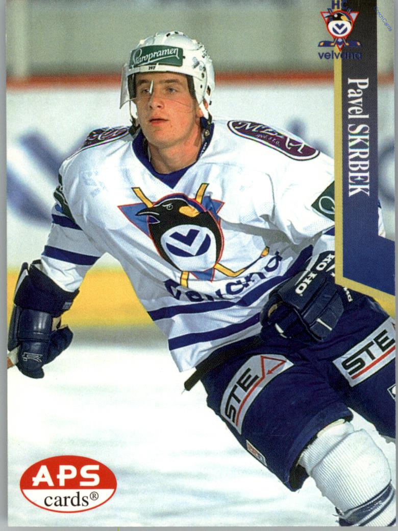 Pavel Skrbek APS 97/98 hokejová karta #200