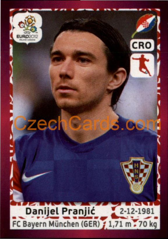 Danijel Pranjić 2012 Panini EURO sticker #383