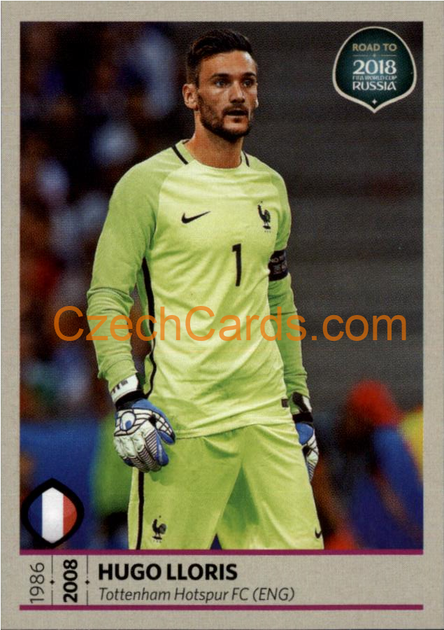 Hugo Lloris 2018 Road To World Cup Russia #81