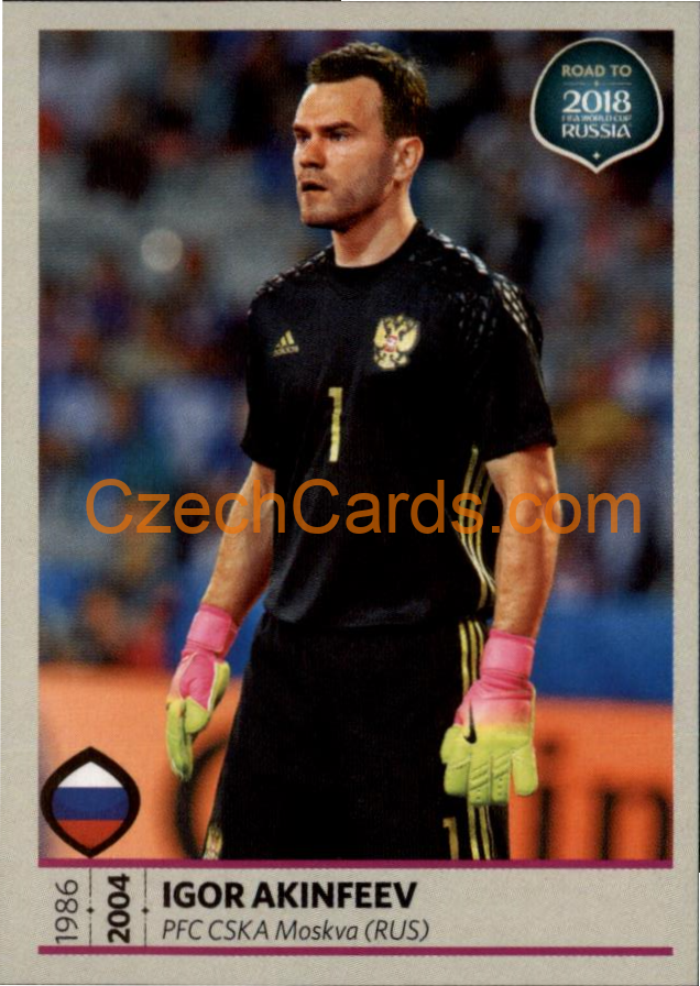 Igor Akinfeev 2018 Road To World Cup Russia #177
