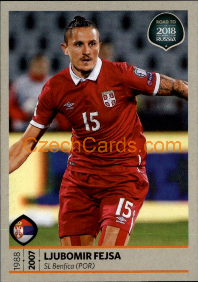 Ljubomir Fejsa 2018 Road To World Cup Russia #199