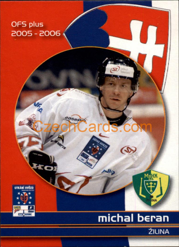 Michal Beran OFS 2005-06 #CS 35