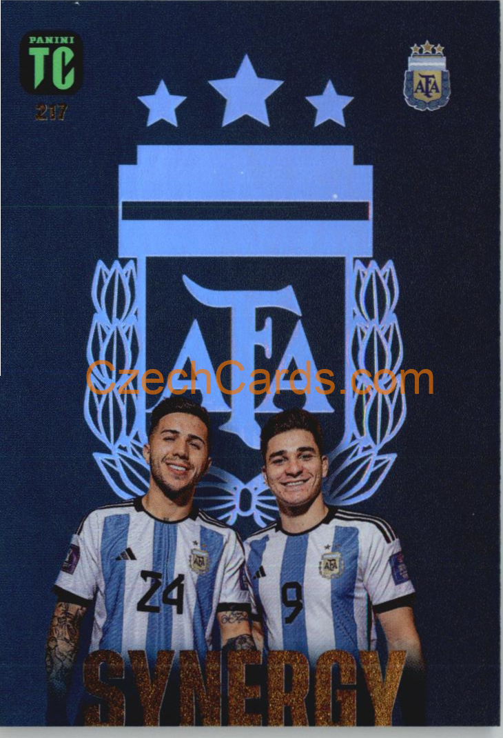 Fernández / Julián Álvarezéz 2023 Panini Top Class Synergy #217