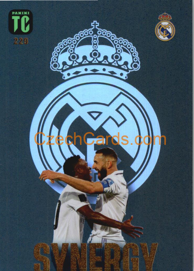 Vinicius Jr / Karim Benzema 2023 Panini Top Class Synergy #229