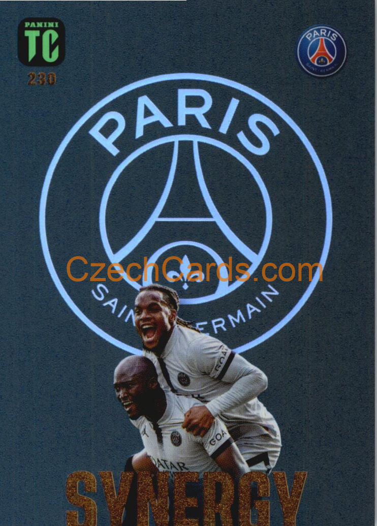 Danilo / Renato Sanches 2023 Panini Top Class Synergy #230