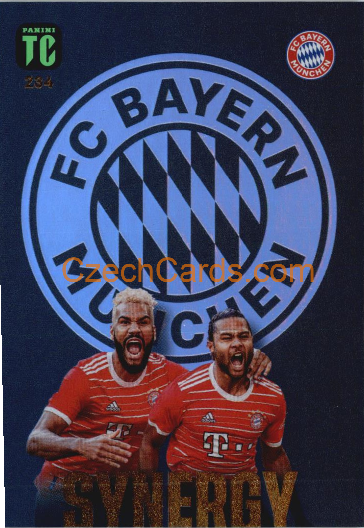 Choupo-Moting / Serge Gnabry 2023 Panini Top Class Synergy #234