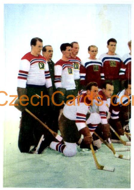 1949 World Champions 1/2 2021 Kaufland sticker #60