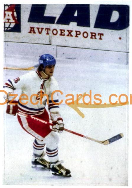Czech Hockey Emigrants 2/2 2021 Kaufland sticker #109