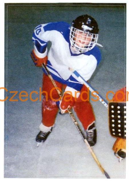 Hockey kids 1/2 2021 Kaufland sticker #199