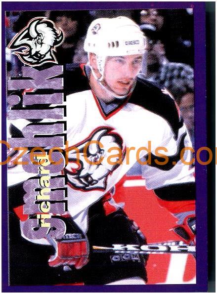 Richard Smehlik 1998/99 Panini NHL Hockey Panini #20
