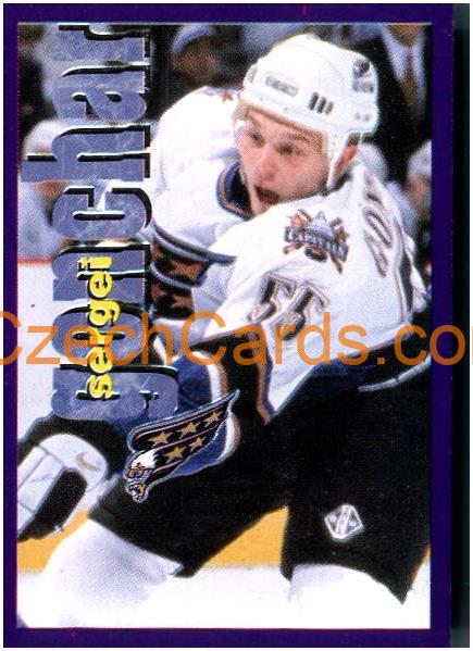 Sergei Gonchar 1998/99 Panini NHL Hockey sticker #105