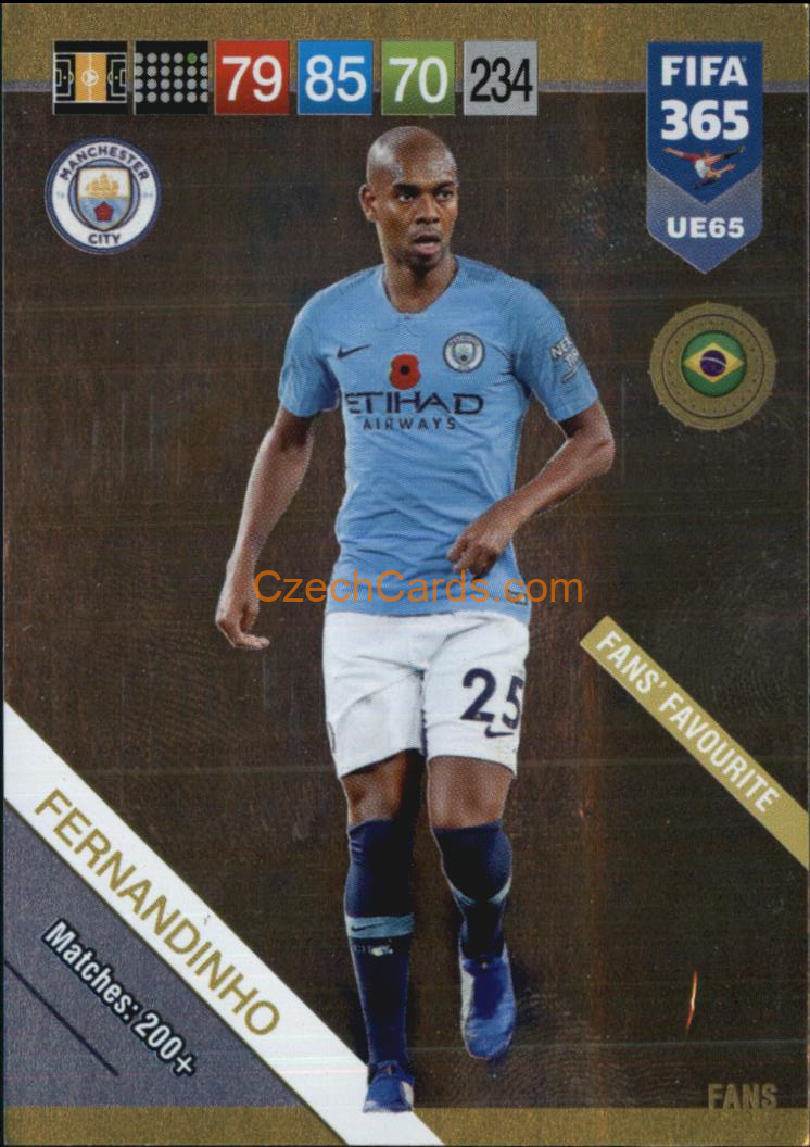 Fernandinho 2019 Panini FIFA 365 Adrenalyn XL Update Fans #UE65