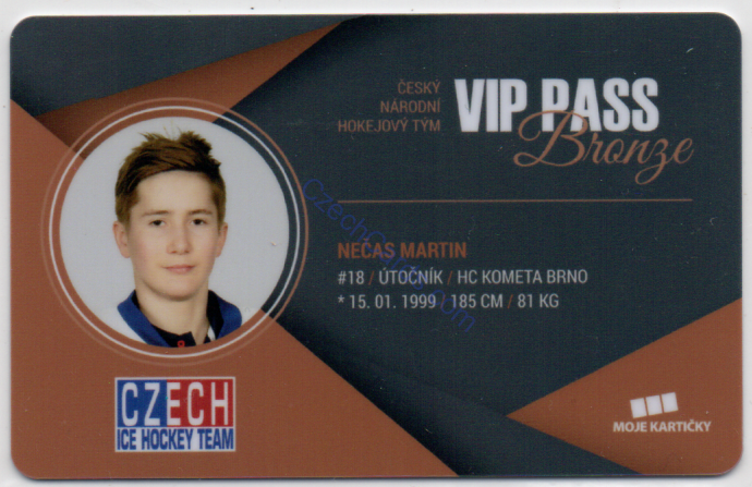 Martin Nečas MK Cards 2018 VIP Pass /100 #11