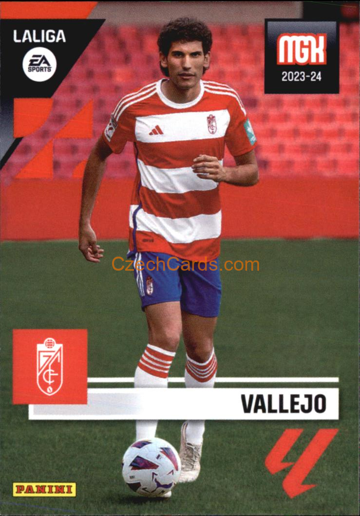Vallejo 2023/24 Panini Megacracks #206