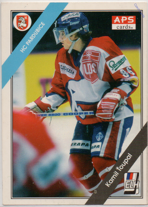 Kamil Ťoupal APS 94/95 #31