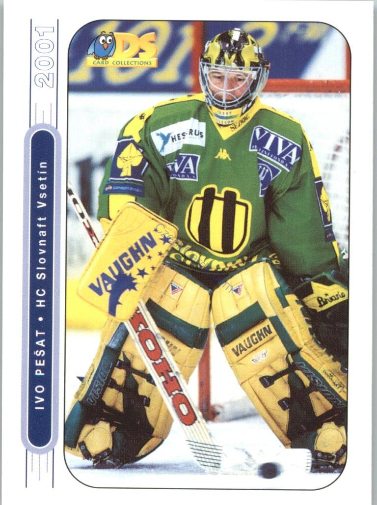 Ivo Pešat DS 2000/01 #14