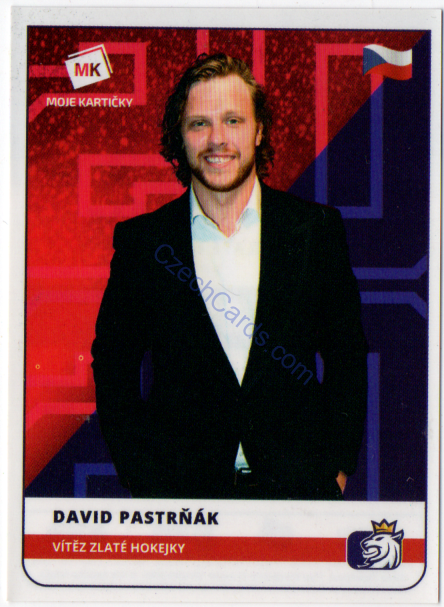 David Pastrňák MK 2020  Stick With Czech Hockey Sticker #1