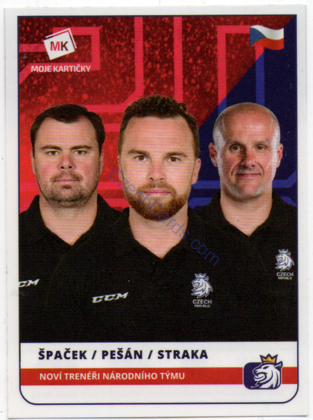 Špaček/ Pešán / Straka MK 2020  Stick With Czech Hockey Sticker #13