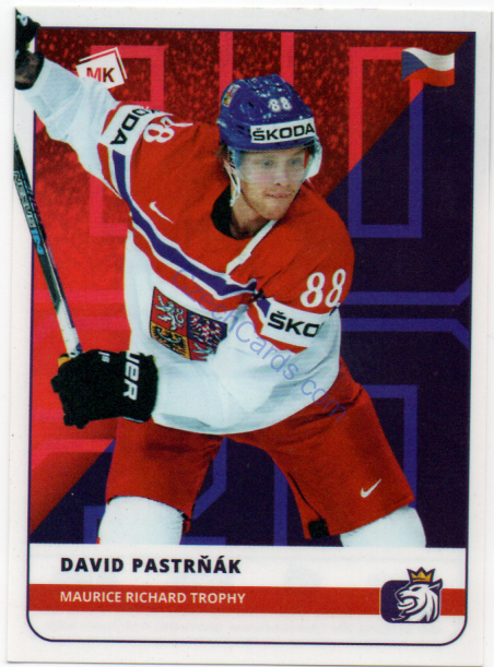 David Pastrňák MK 2020 Stick With Czech Hockey Sticker #31