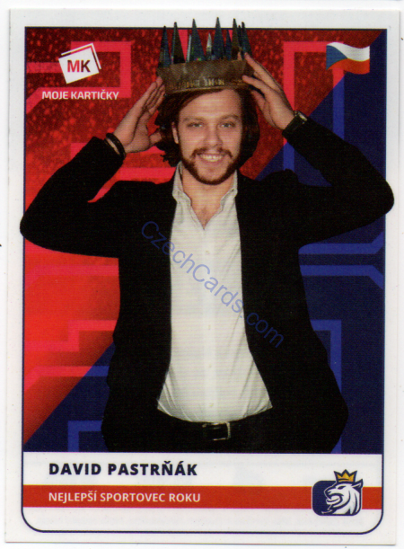David Pastrňák MK 2020 Stick With Czech Hockey Sticker #43