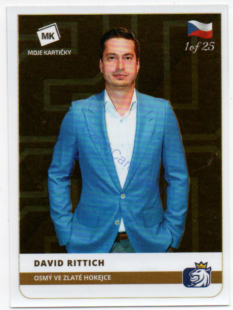 David Rittich MK 2020 Stick With Czech Hockey Sticker GOLD 1 of 25 #8
