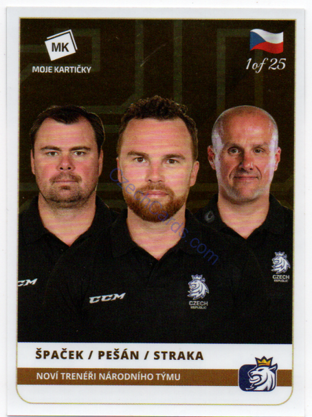 Špaček, Pešán, Straka  MK 2020 Stick With Czech Hockey Sticker GOLD 1 of 25 #13