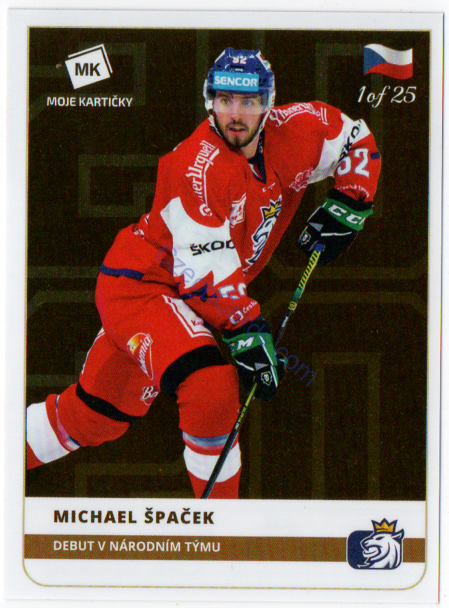 Michael Špaček MK 2020 Stick With Czech Hockey Sticker GOLD 1 of 25 #24