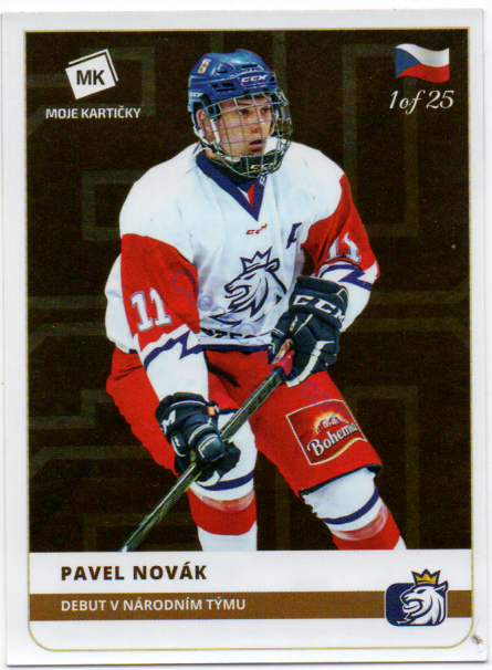 Pavel Novák MK 2020 Stick With Czech Hockey Sticker GOLD 1 of 25 #27