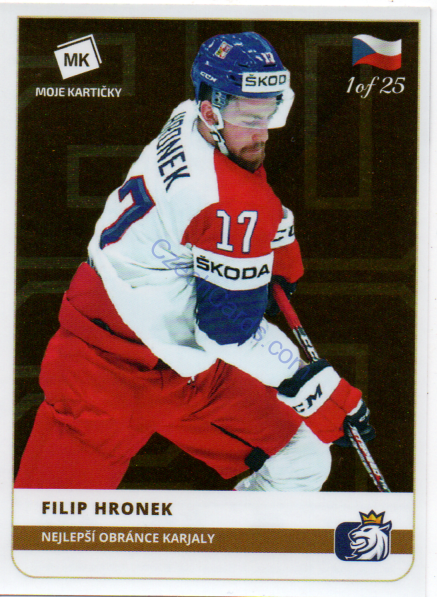 Filip Hronek MK 2020 Stick With Czech Hockey Sticker GOLD 1 of 25 #28