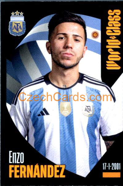 Enzo Fernández 2024 Panini World Class sticker #164
