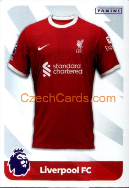 Home & Away Shirts 2024 Panini EPL sticker #13