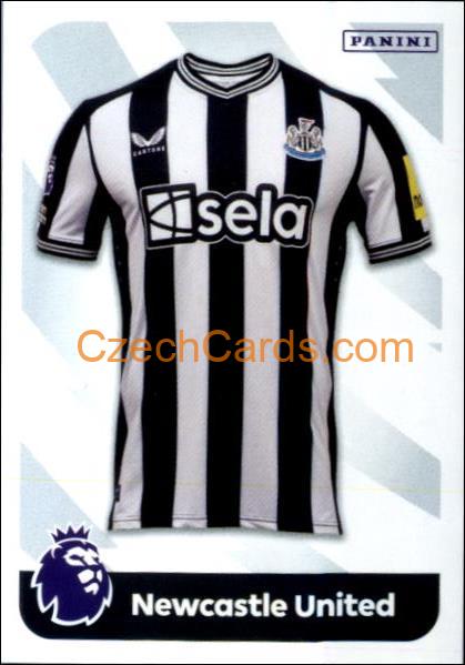 Home & Away Shirts 2024 Panini EPL sticker #17