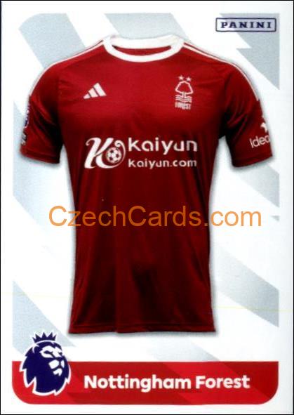Home & Away Shirts 2024 Panini EPL sticker #18