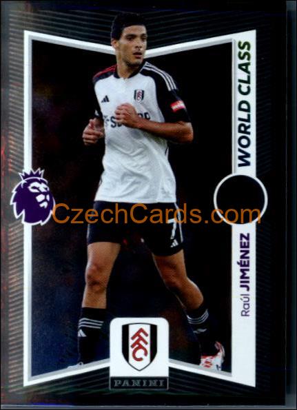 Raúl Jiménez (Mexico) 2024 Panini EPL sticker metal #324