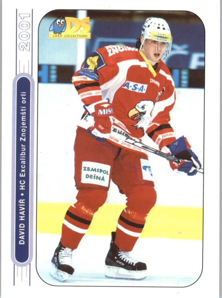 David Havíř DS 2000/01 #104