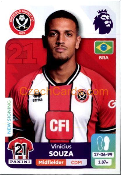 Vinicius Souza 2024 Panini EPL sticker #535