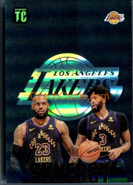 Davis / James 2024 Panini NBA Top Class Synergy #230