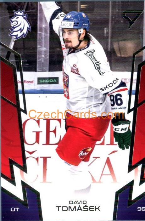 David Tomášek 2024 Sportzoo Hokejové Česko #60