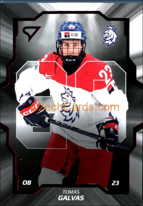 Tomáš Galvas 2024 Sportzoo Hokejové Česko Team 20 #CD-07