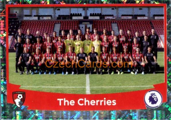 The Cherries (Squad) 2020 Panini Football Premier League sticker metal #46