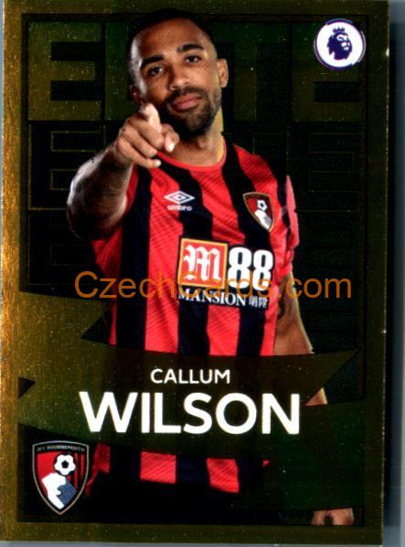 Callum Wilson 2020 Panini Football Premier League sticker Elite Gold #313