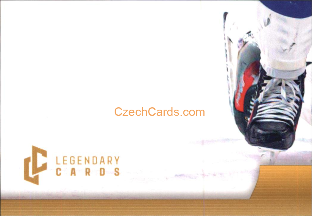 Dominik Kubalík 2024 LC Golden Belong To Us Golden Jigsaw Puzzle #DK07