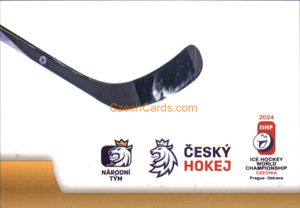 Dominik Kubalík 2024 LC Golden Belong To Us Golden Jigsaw Puzzle #DK09