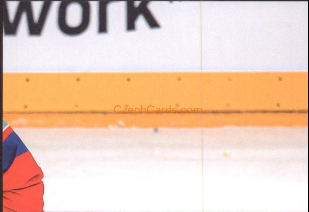 David Špaček 2024 LC Golden Belong To Us Golden Jigsaw Puzzle #DŠ03