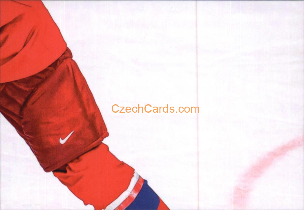 David Špaček 2024 LC Golden Belong To Us Golden Jigsaw Puzzle #DŠ06