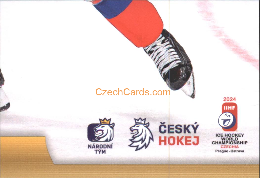 David Špaček 2024 LC Golden Belong To Us Golden Jigsaw Puzzle #DŠ09